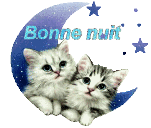 bonne nuit chat